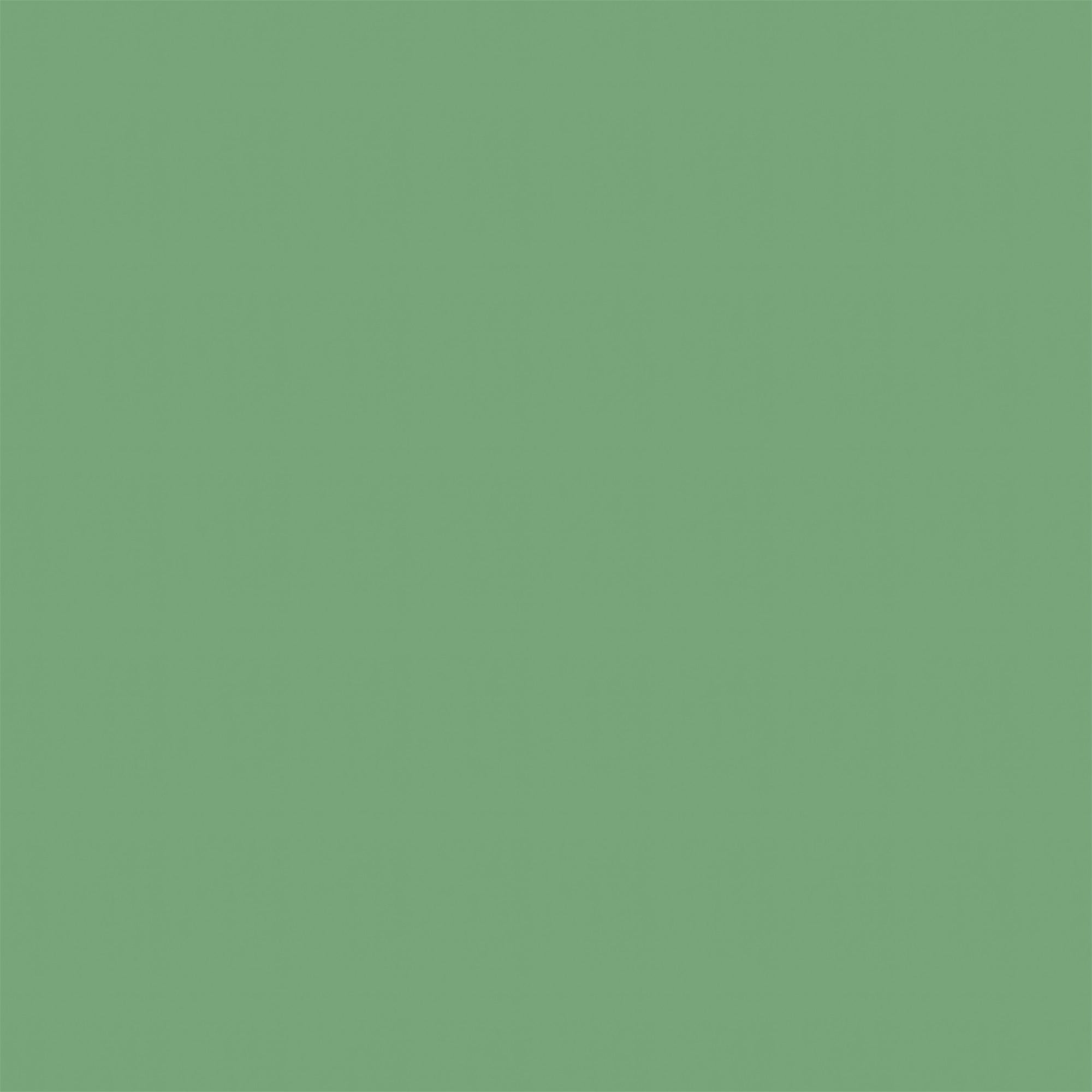 Toile de fond Vert Prairie Fraîche GTY2-181