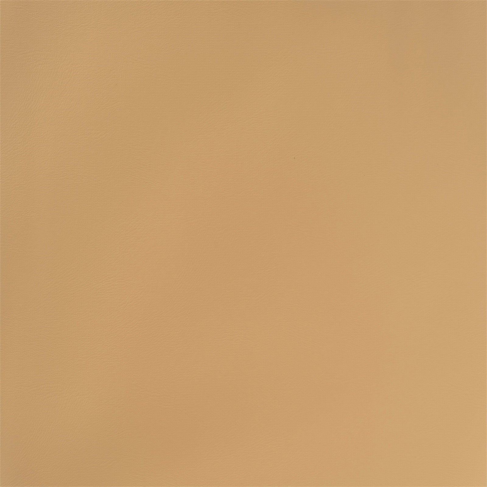 Toile de fond Couleur Unie Camel Chaleureux Rustique GTY2-185