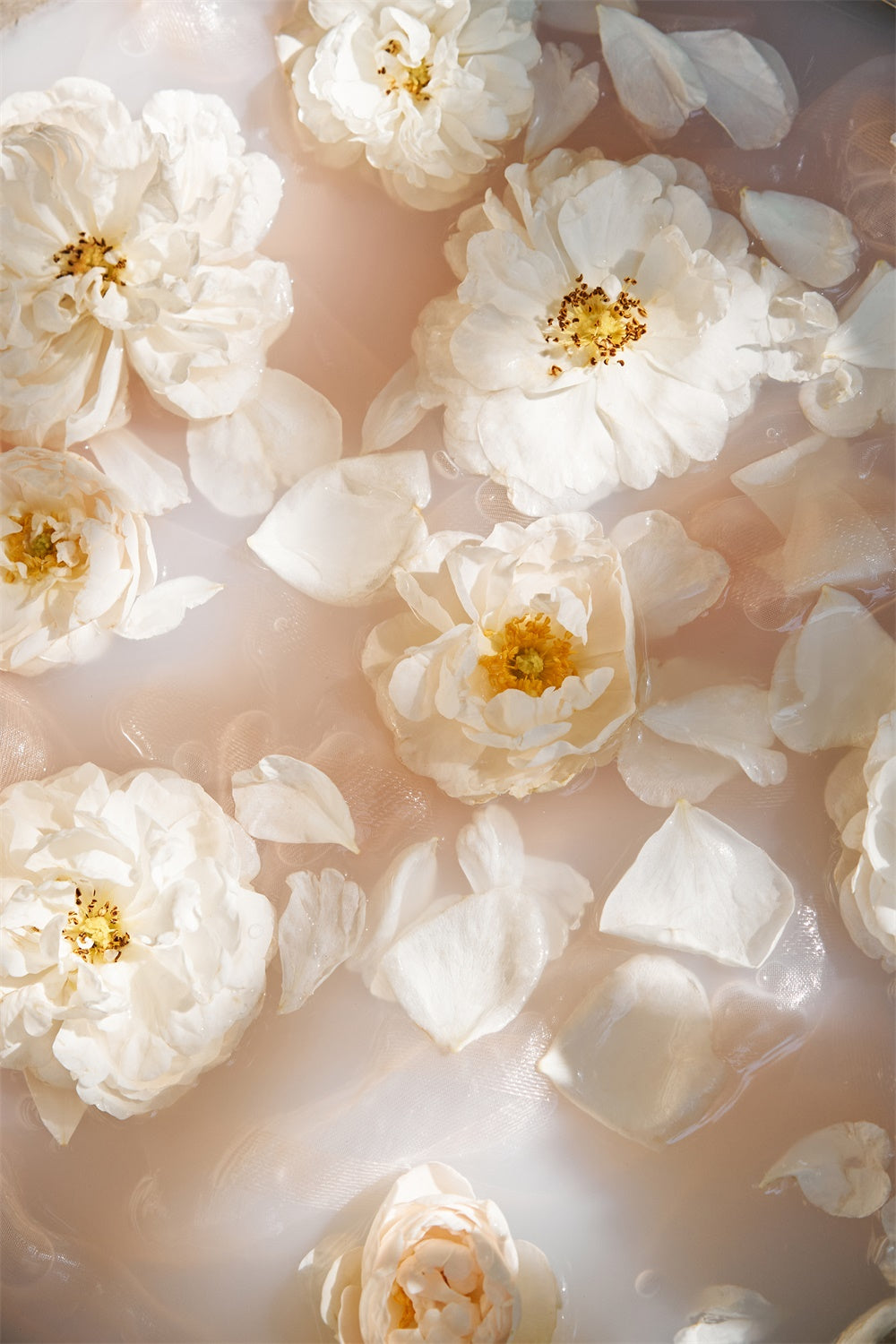 Toile de fond Maternité Pétales Flottants Douce Élégance GTY2-41