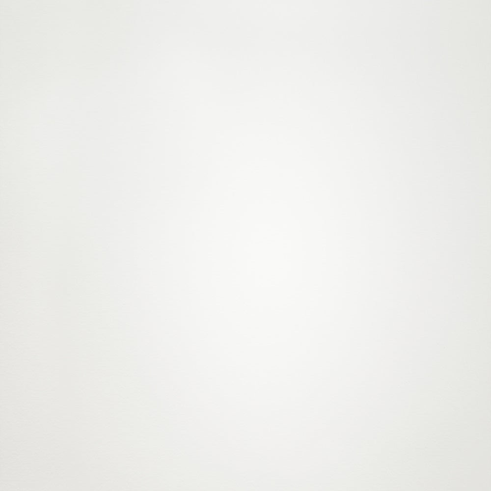 Toile de Fond Photo de Graduation Professionnelle Simple Blanc Cassé GTY3-315