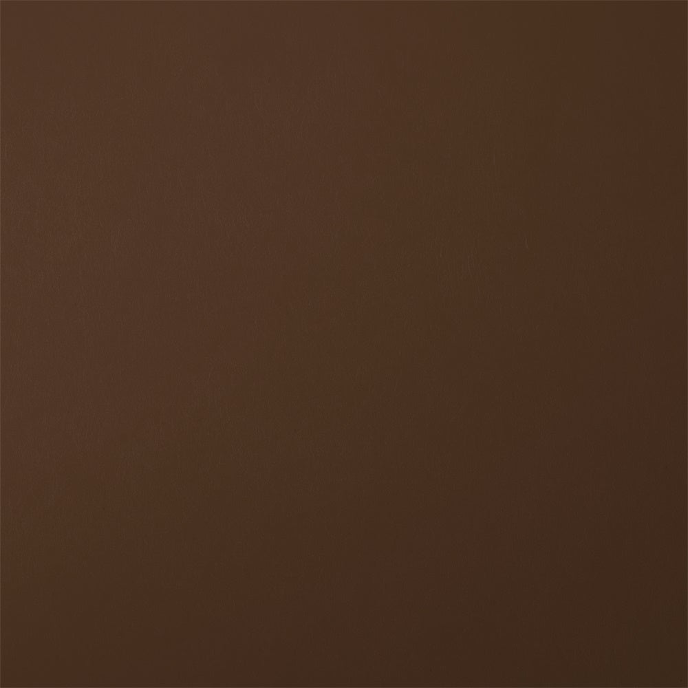 Toile de Fond Portrait de Graduation Chocolat Marron Studio GTY3-320
