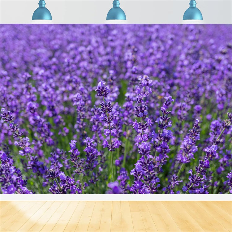 Toile de fond Photographie Florale Étendue Enchantée de Lavande GTY3-33