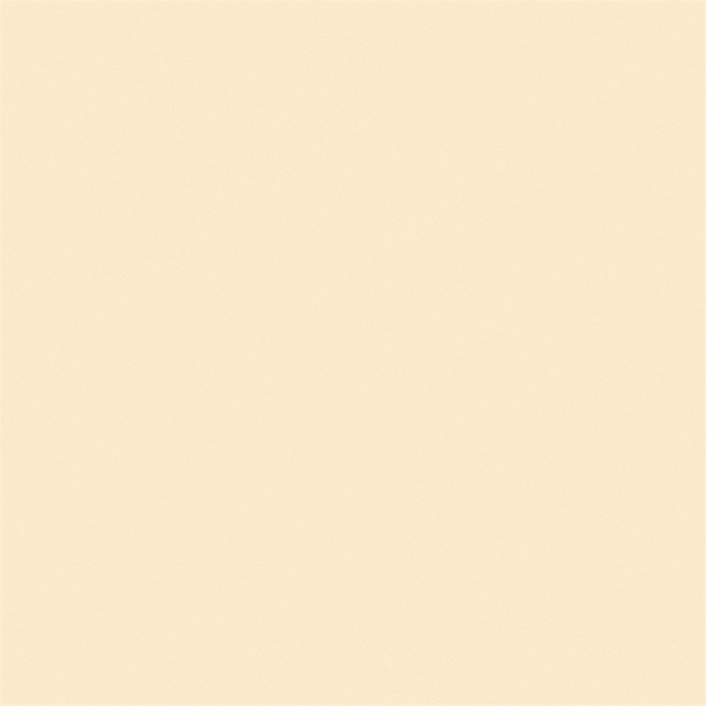 Toile de Fond Photo Scolaire Beige Crème Studio GTY3-332