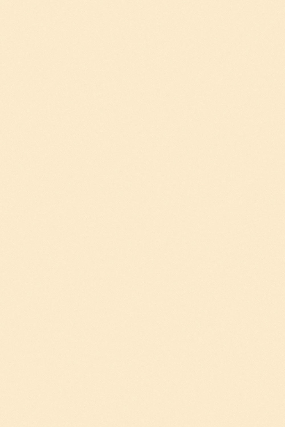 Toile de Fond Photo Scolaire Beige Crème Studio GTY3-332