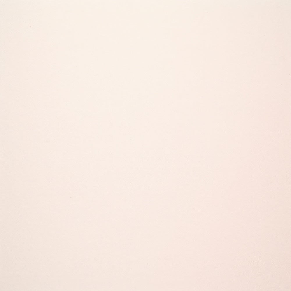 Toile de Fond Photo de Tête Beige Doux Minimaliste GTY3-349