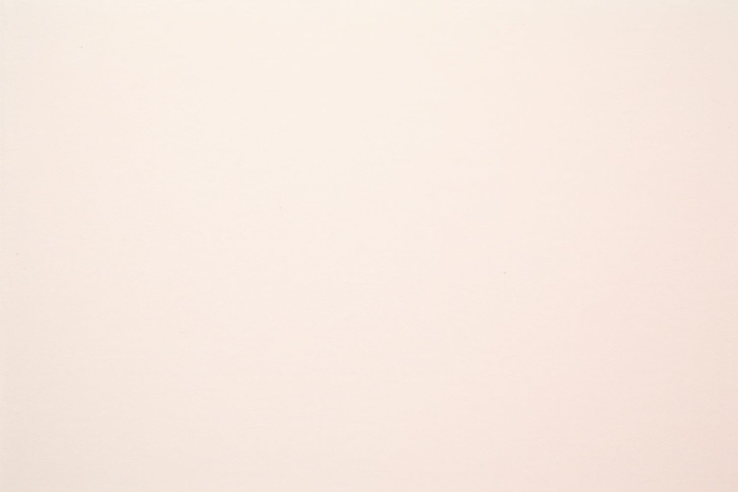 Toile de Fond Photo de Tête Beige Doux Minimaliste GTY3-349