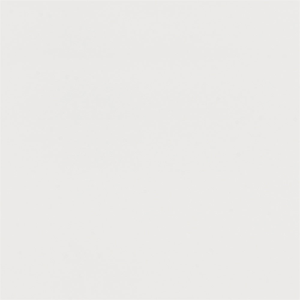 Toile de Fond Portrait de Graduation Texture Minimaliste Cendre Claire GTY3-355