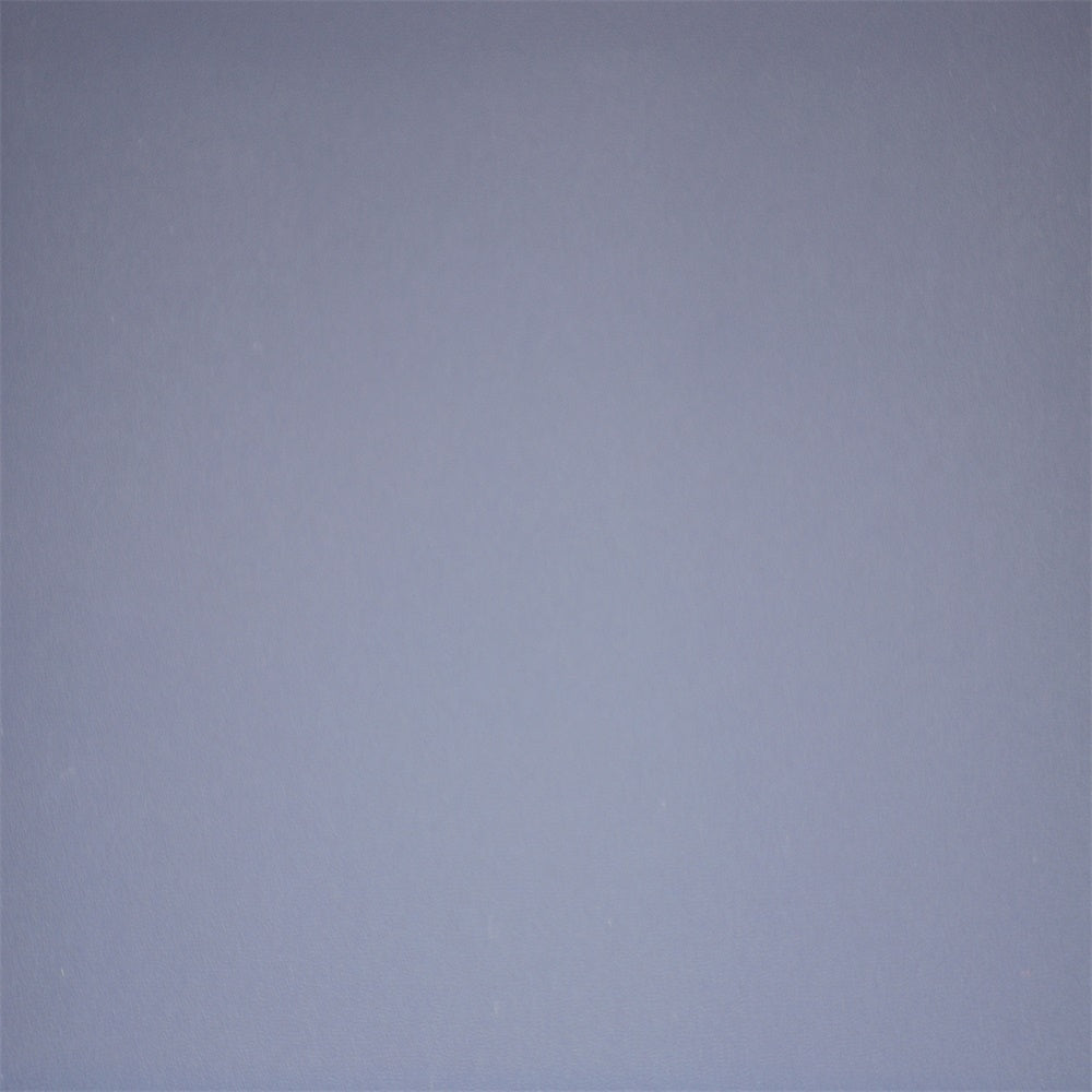 Toile de Fond Photo de Tête Lilas Pâle Minimaliste GTY3-368
