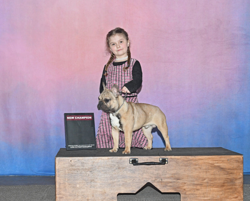 Toile de Fond de Studio de Photographie Texture Abstraite HF-0021