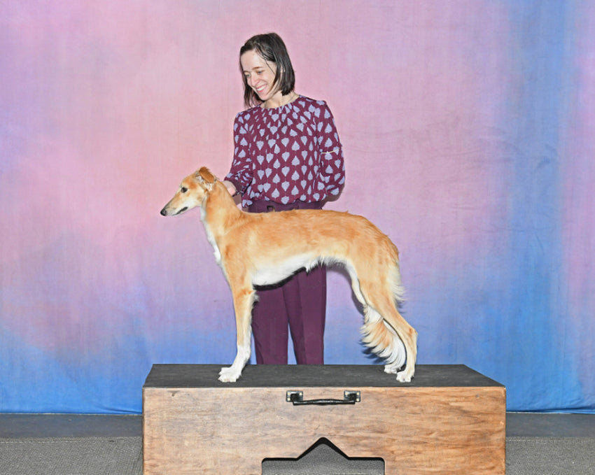 Toile de Fond de Studio de Photographie Texture Abstraite HF-0021