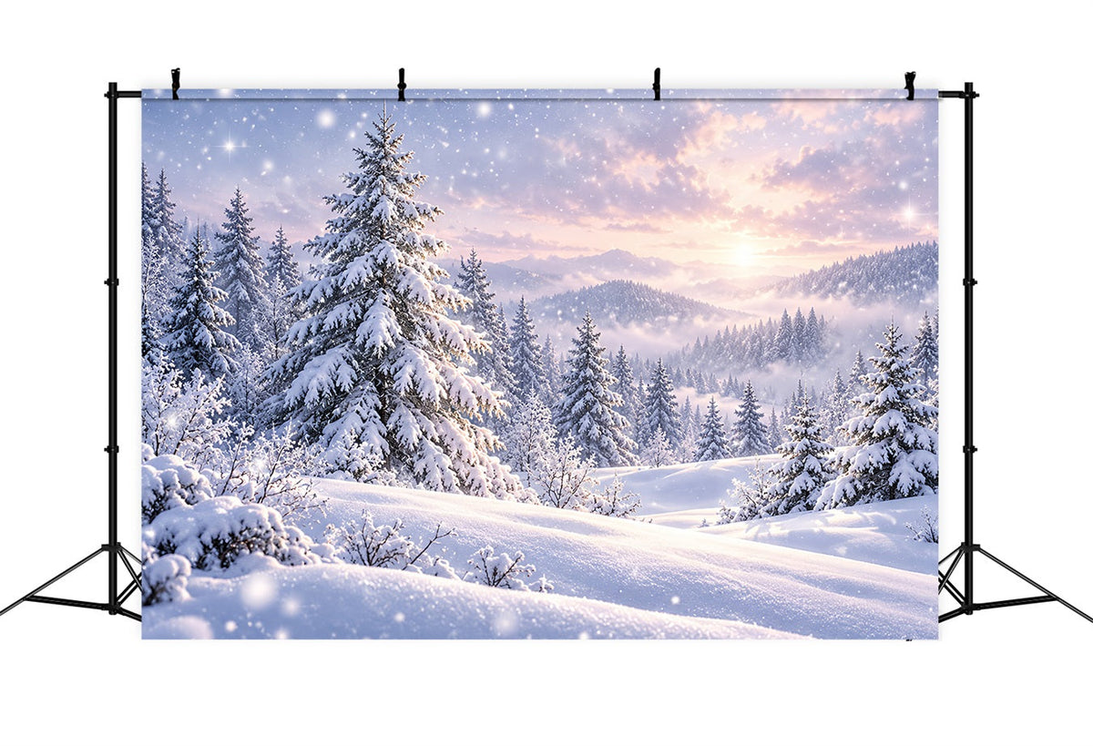 Fond De Sapins De Noël Pins Enneigés Coucher Soleil HQ610-171