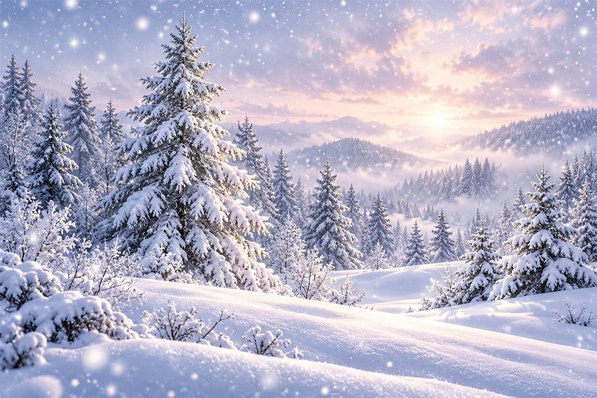 Fond De Sapins De Noël Pins Enneigés Coucher Soleil HQ610-171