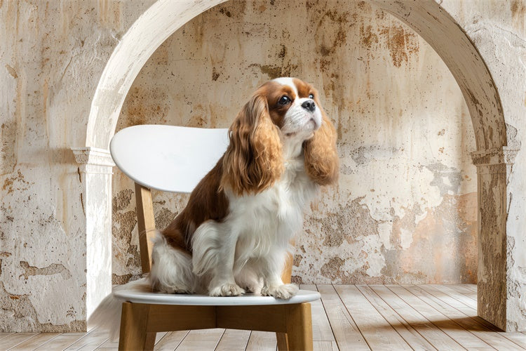 Toile de fond Animal Familier Mur Ancien Arche Rustique LXX1-256