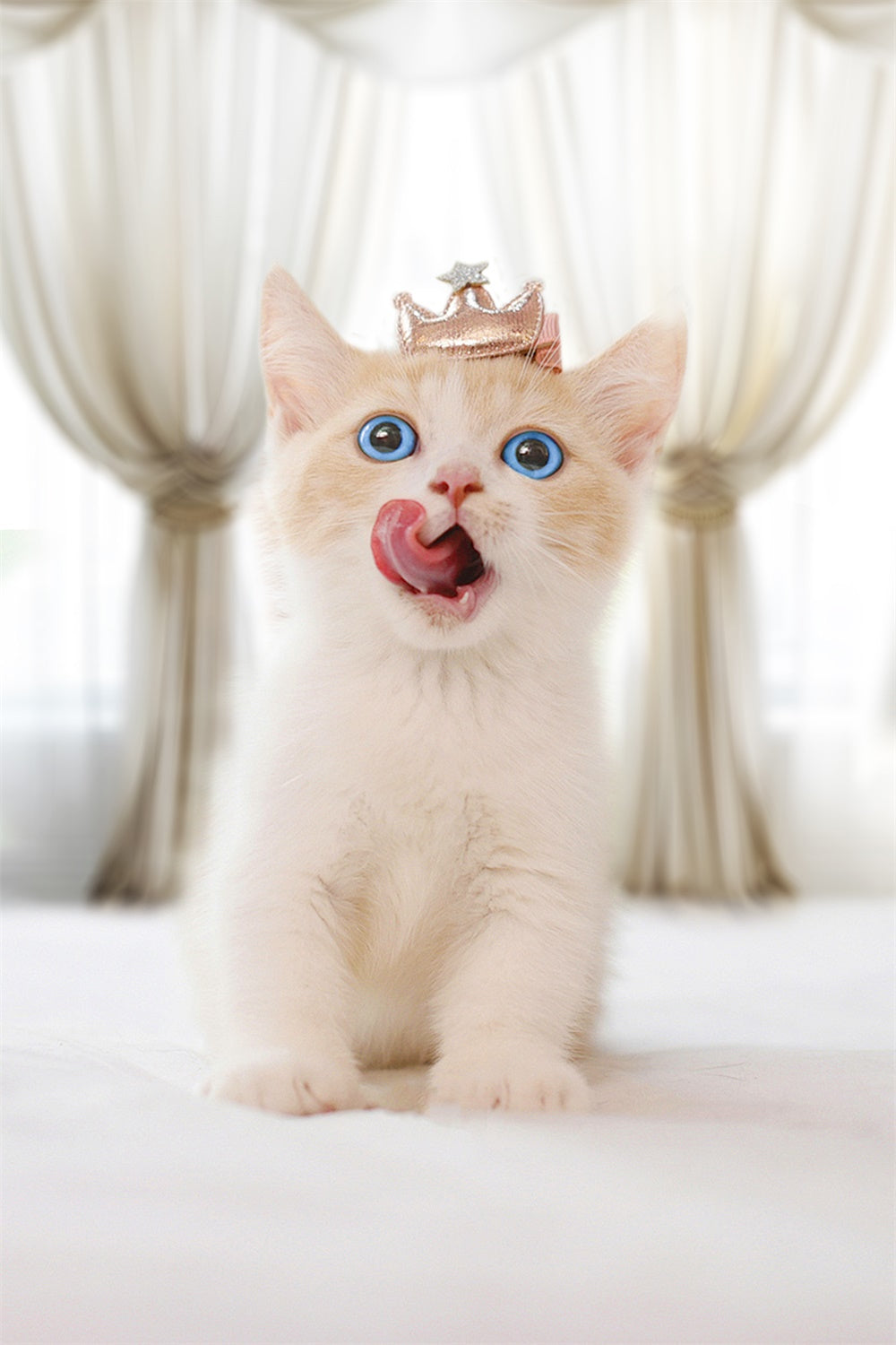 Toile de fond Animal de compagnie Drapés Ivoire Élégants LXX1-280