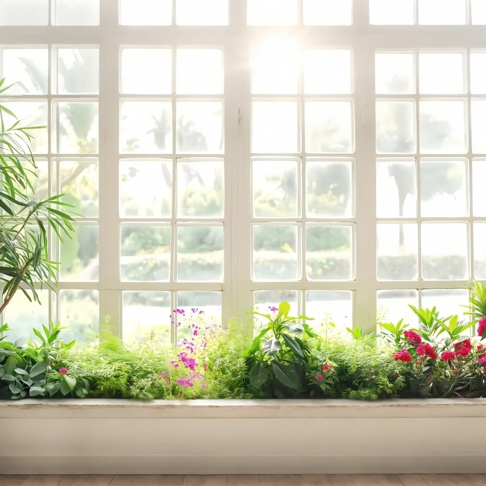 Toile de fond Animal de compagnie Fenêtre Fleurs Botanique LXX1-282