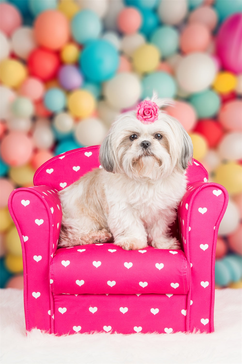 Fond Animal de compagnie Ballons Fête Pastel LXX1-293