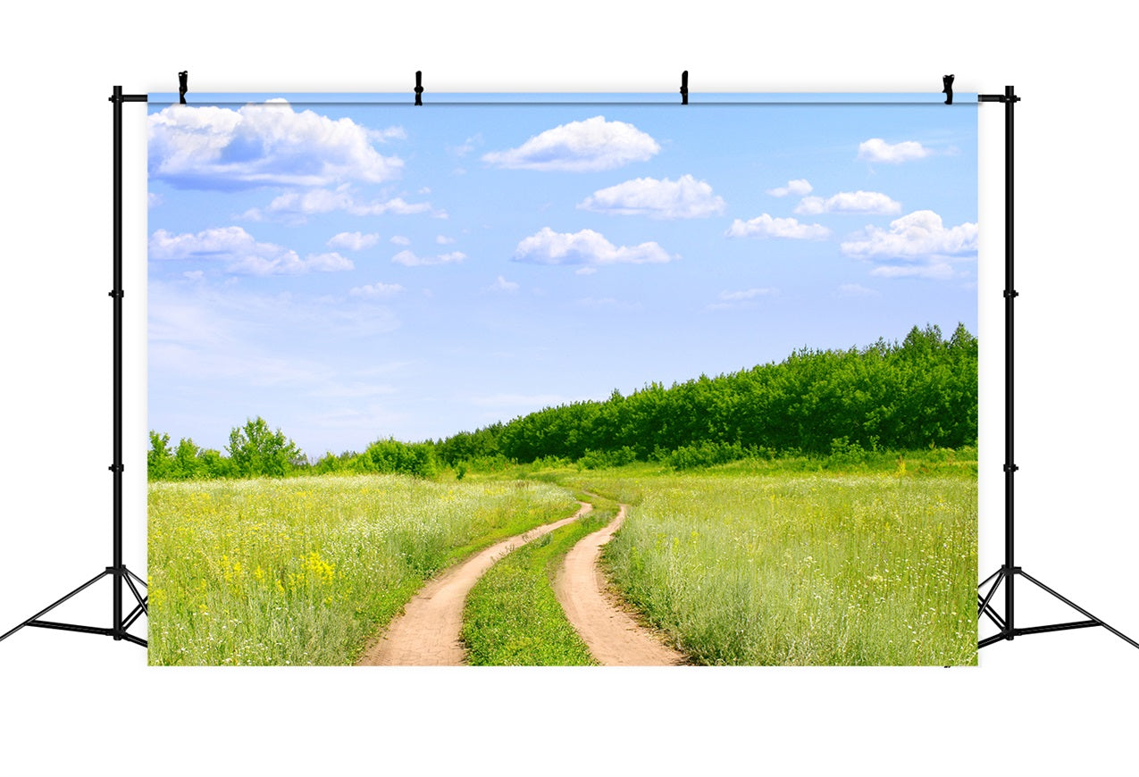 Toile de fond Ciel Sentier Campagne Prairie LXX1-302
