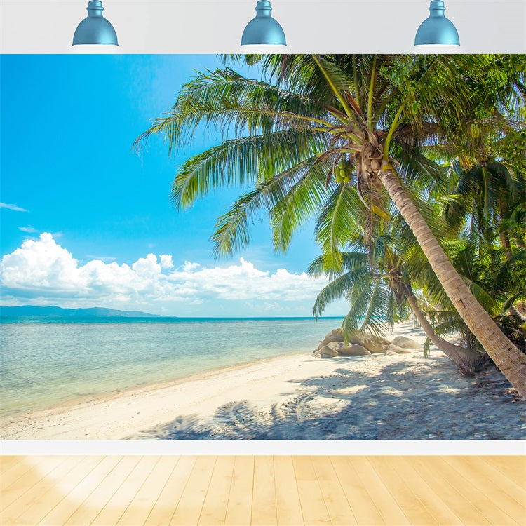 Toile de fond Ciel Nuageux Palmier Plage Paysage LXX1-307