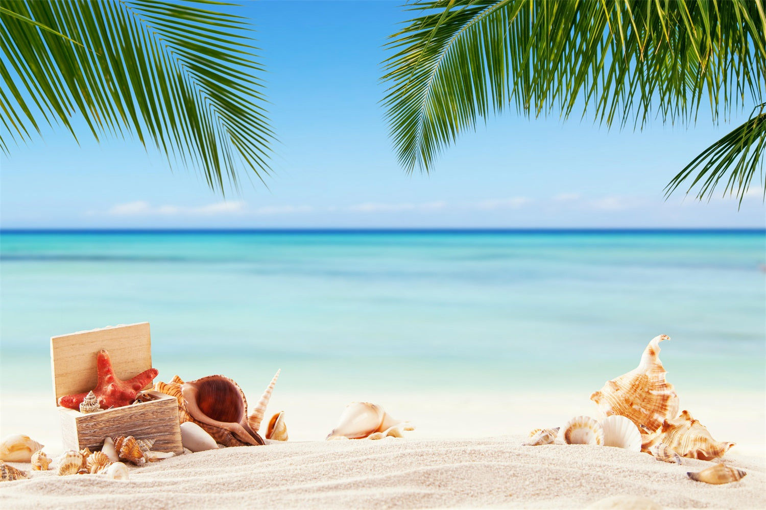 Toile de fond Ciel Tropical Coquillages Océan Calme LXX1-308