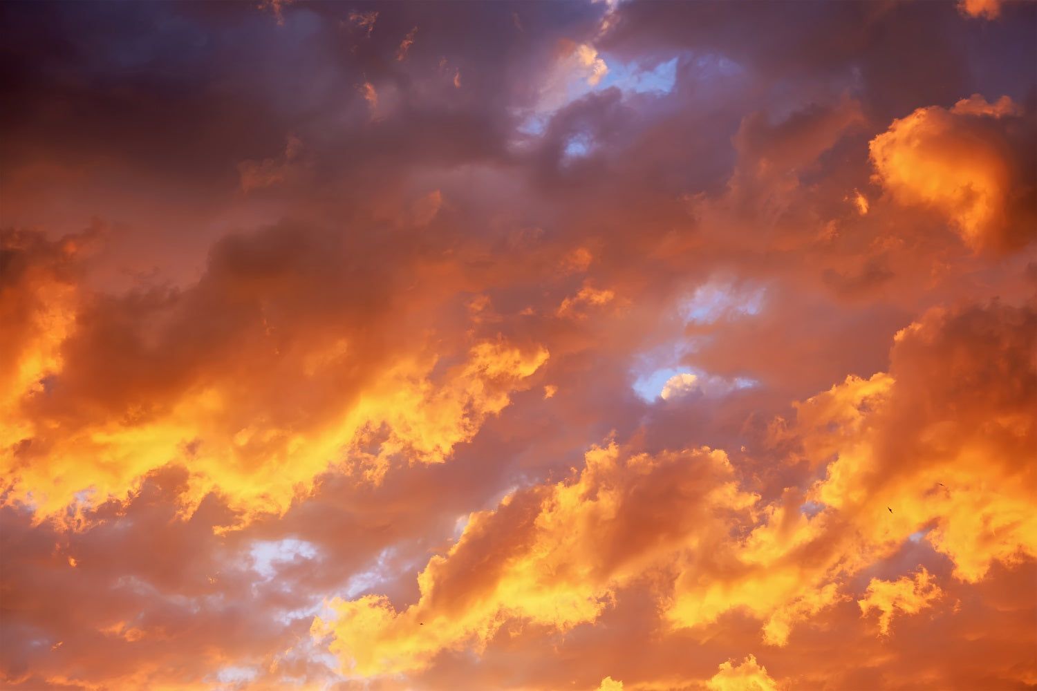 Toile de fond Nuage Ciel Doré Radieux LXX1-324