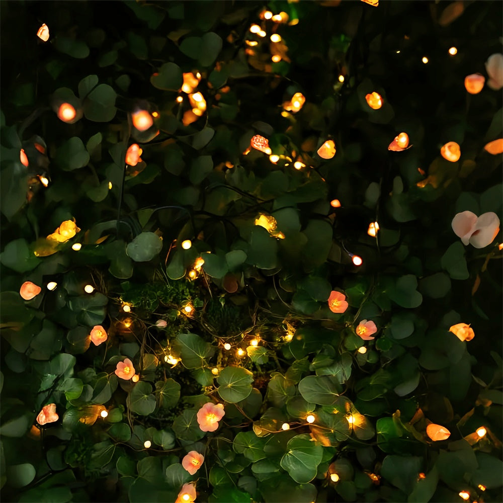 Toiles de fond et sols Éclat mystique et verdure LXX2-233