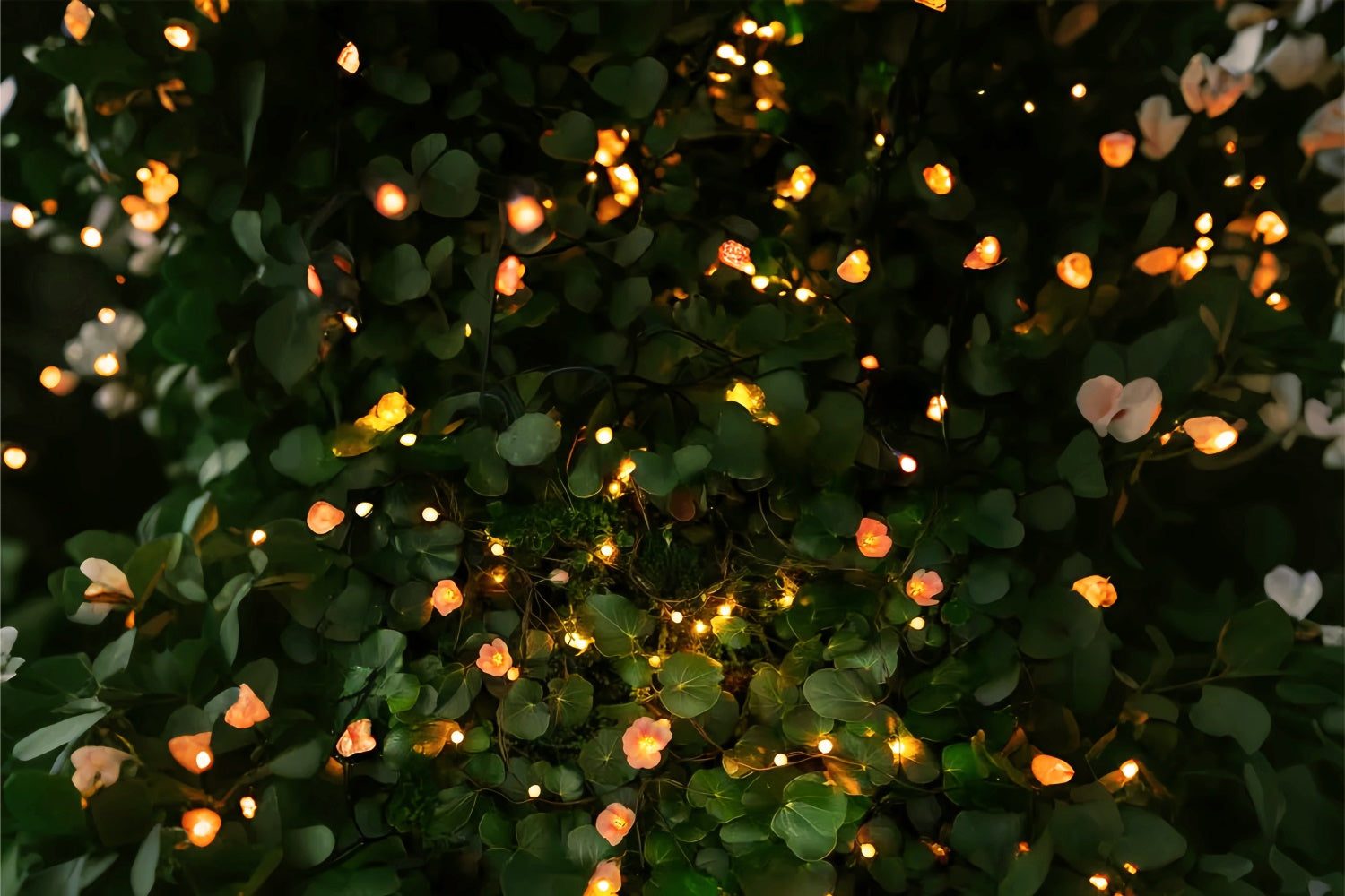 Toiles de fond et sols Éclat mystique et verdure LXX2-233