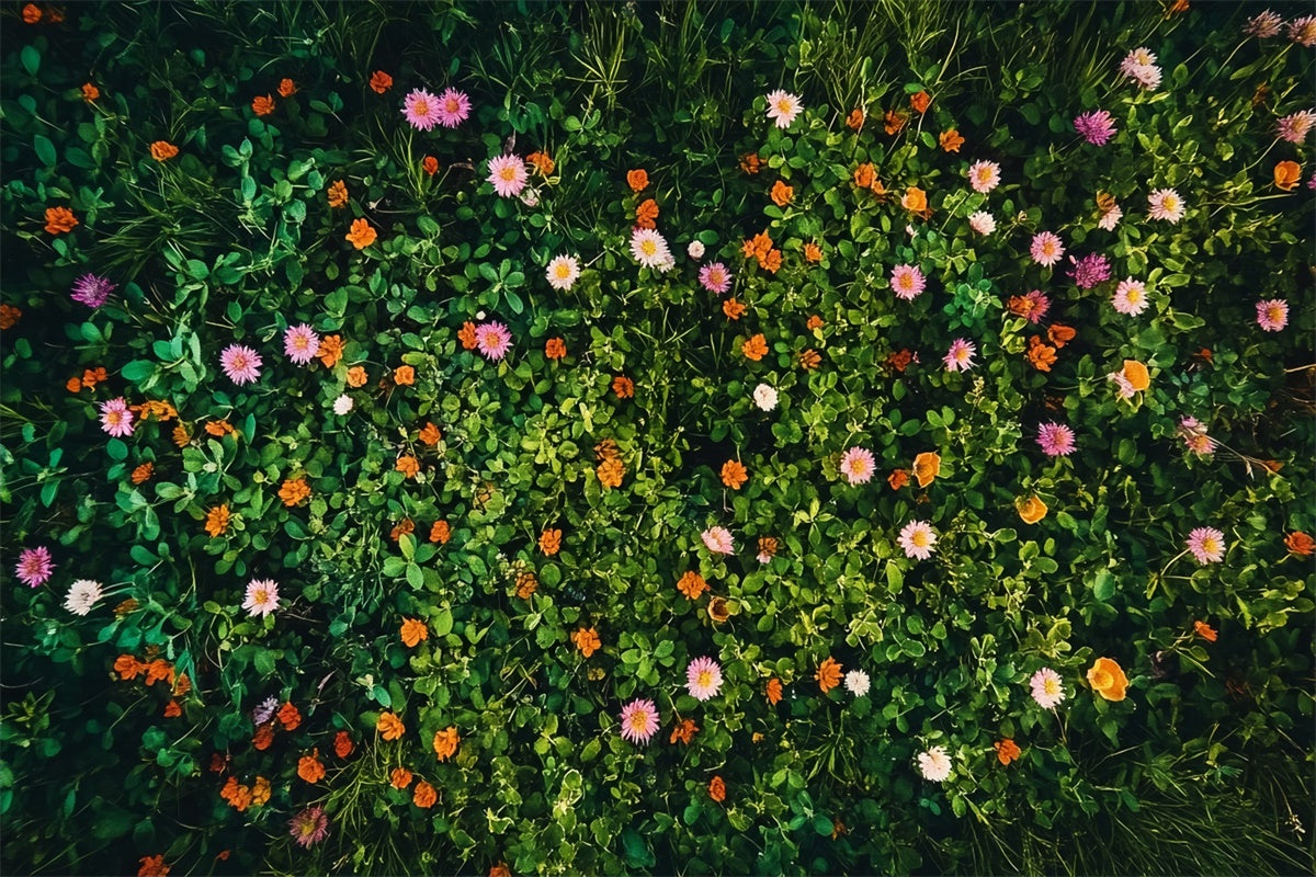 Toile de fond photo sol Prairie sauvage luxuriante LXX2-234