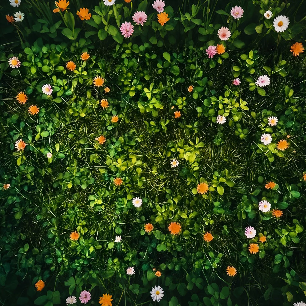 Toiles de fond et sols Prairie ensoleillée en fleurs LXX2-235