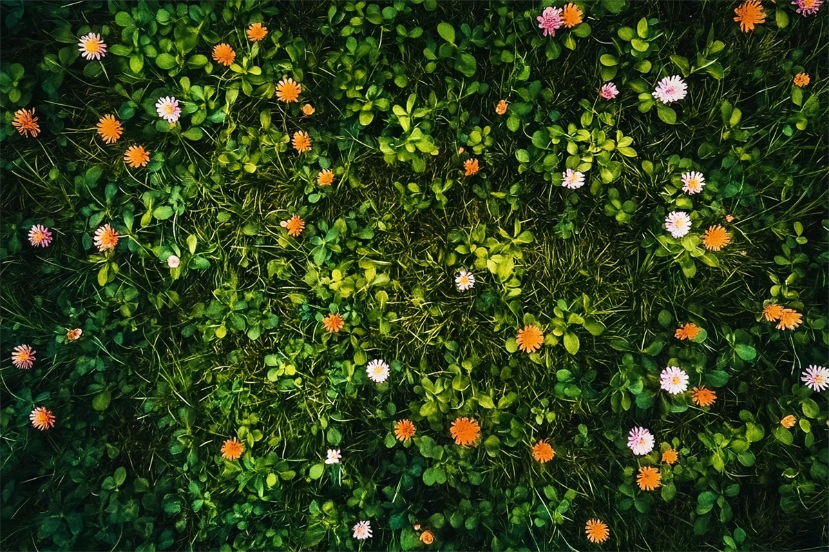 Toiles de fond et sols Prairie ensoleillée en fleurs LXX2-235