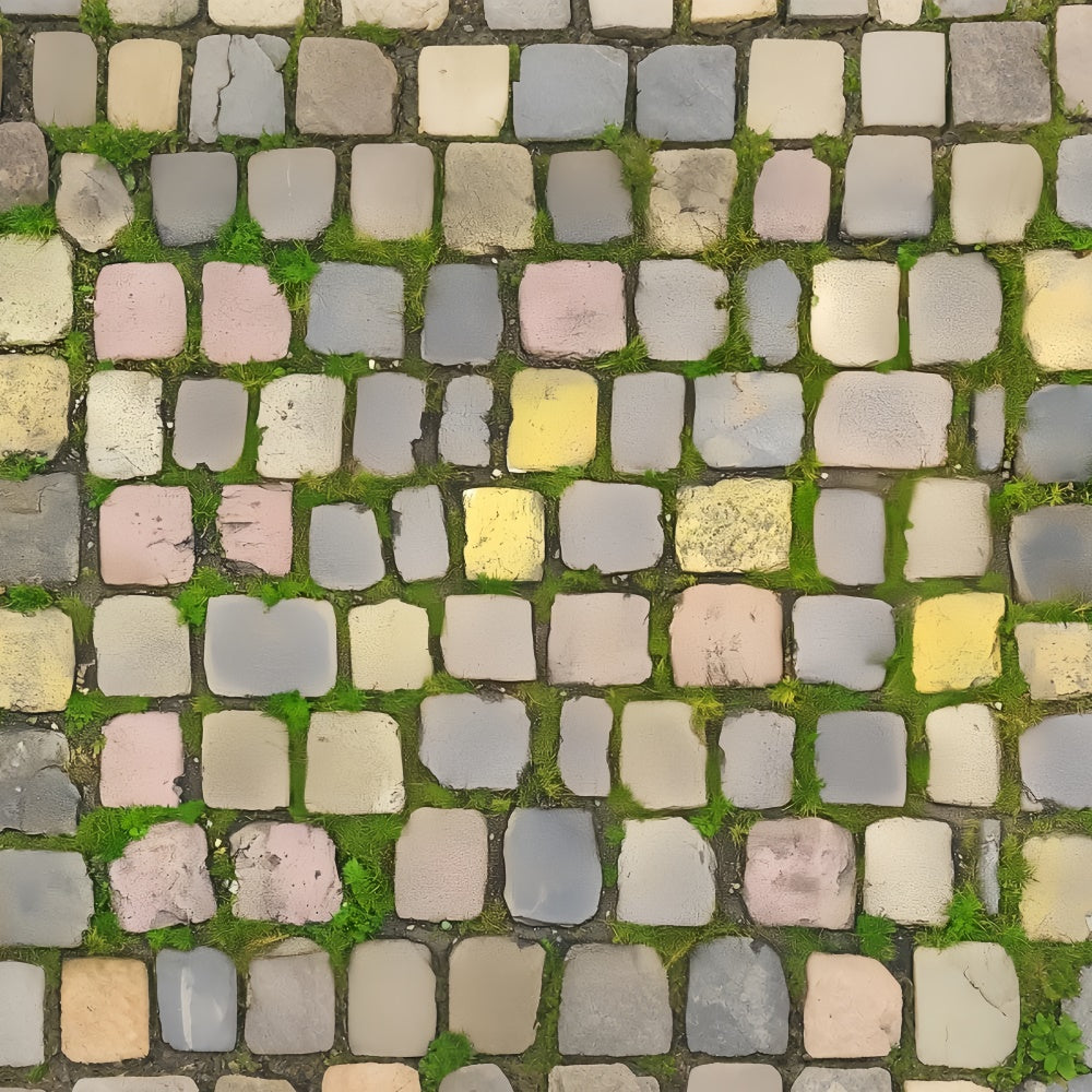 Toile de fond sol Pierre antique colorée LXX2-236