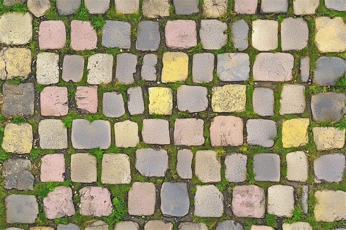 Toile de fond sol Pierre antique colorée LXX2-236