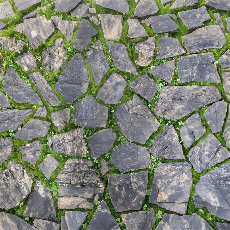 Toile de fond sol photographie Pierre rustique foncée LXX2-237