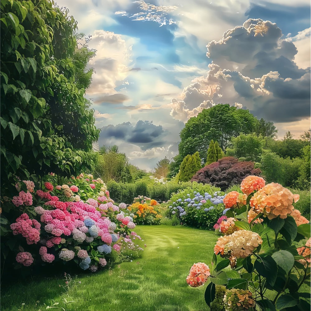 Fond Photo Printemps Paradis Floral Ciel Bleu LXX2-62