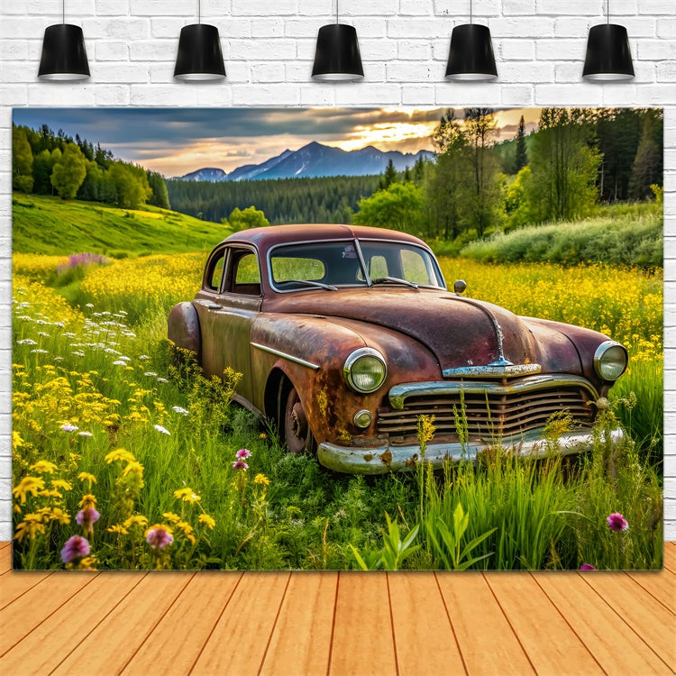 Fond Photo Printemps Voiture Vintage Prairie Luxuriante LXX2-68