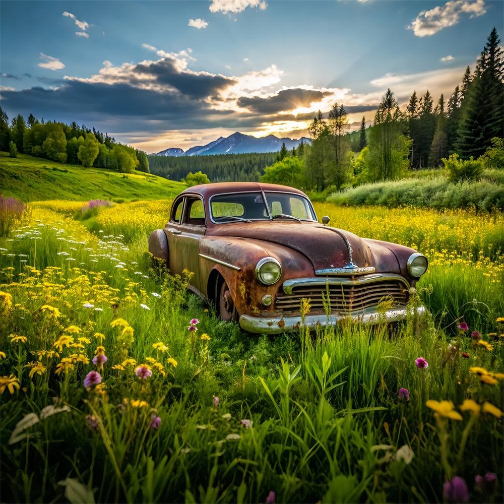 Fond Photo Printemps Voiture Vintage Prairie Luxuriante LXX2-68