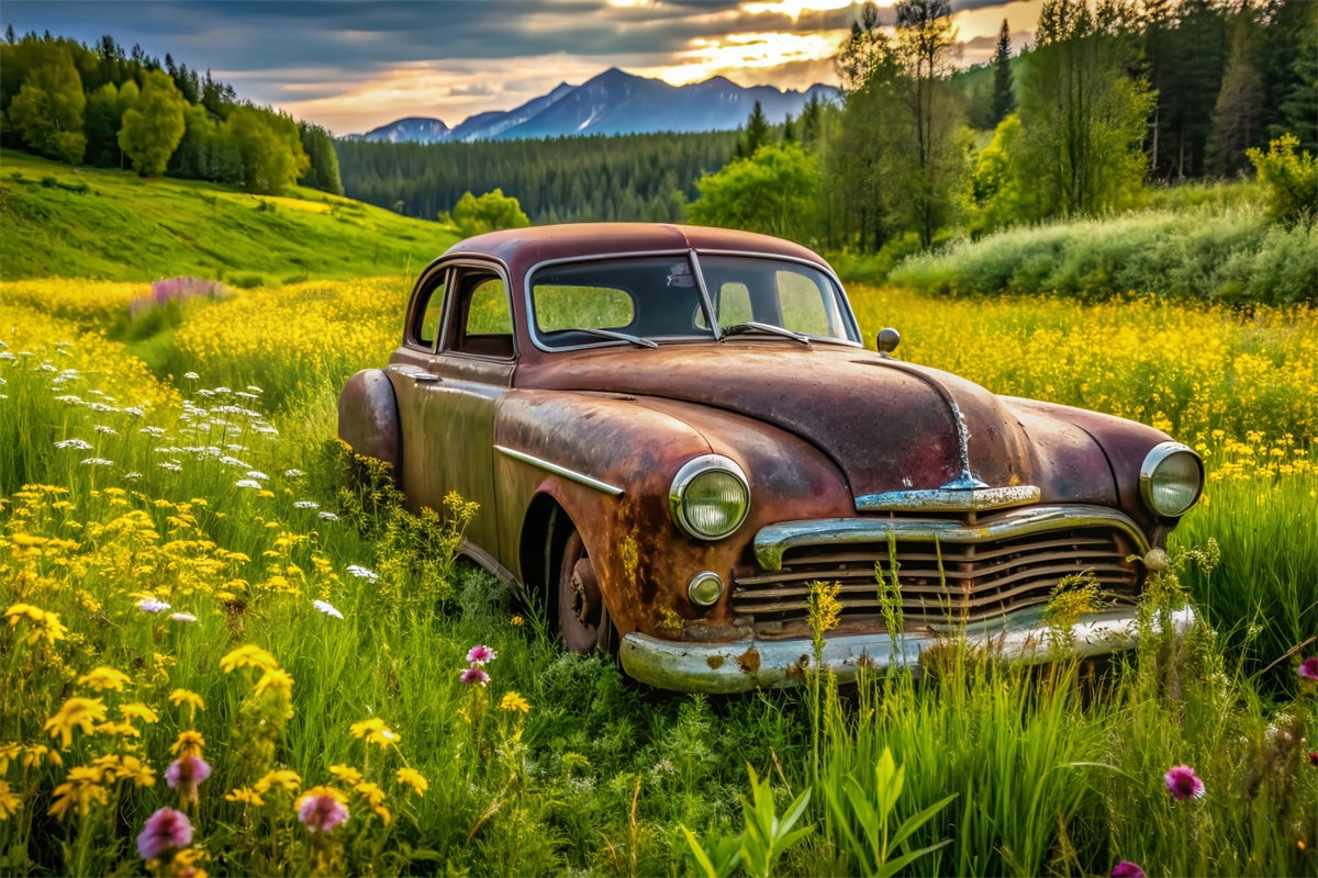 Fond Photo Printemps Voiture Vintage Prairie Luxuriante LXX2-68