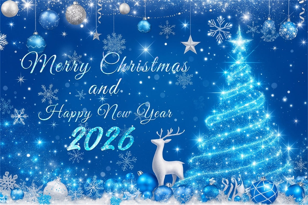 Fonds pour le Nouvel An Décorations de Noël enneigées Fond pour le Nouvel An LXX510-14