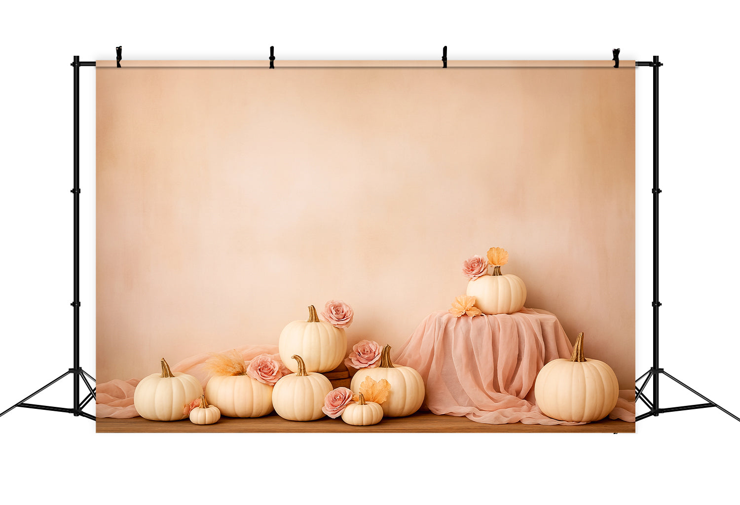 Fond avec citrouilles Citrouilles douces Rose Élégance Fonds pour Thanksgiving LXX510-44