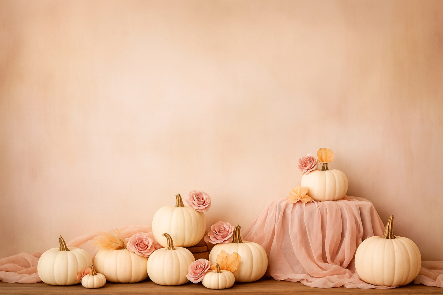 Fond avec citrouilles Citrouilles douces Rose Élégance Fonds pour Thanksgiving LXX510-44