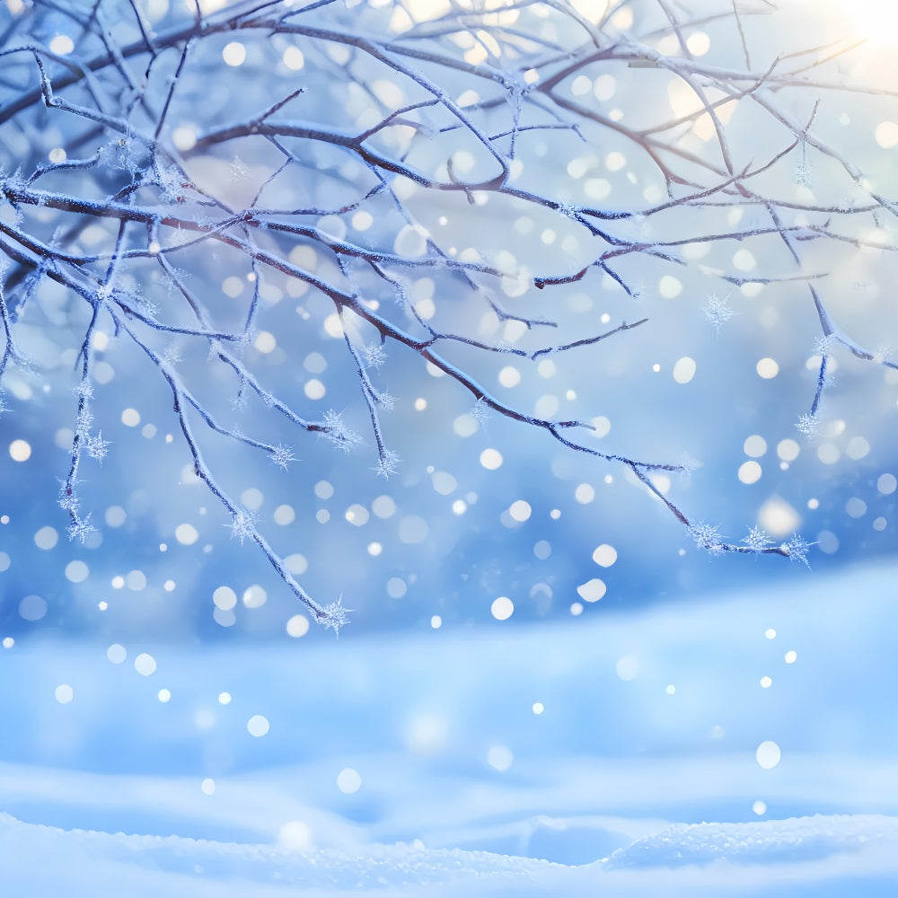 Fond hivernal enneigé Branches givrées Flocons de neige Lumière Fonds photo hivernaux LXX510-80