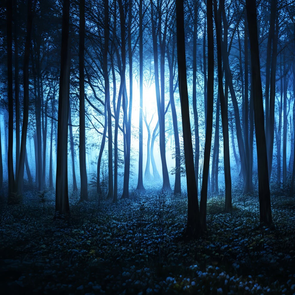 Toile de fond Forêt Sombre Brouillard Minuit Bosquet LXX57-115