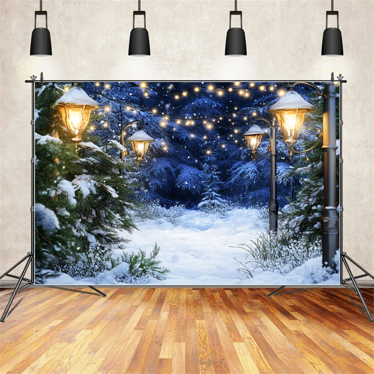 Toile de fond Forêt Neige Pins Illuminés Douillets LXX57-123