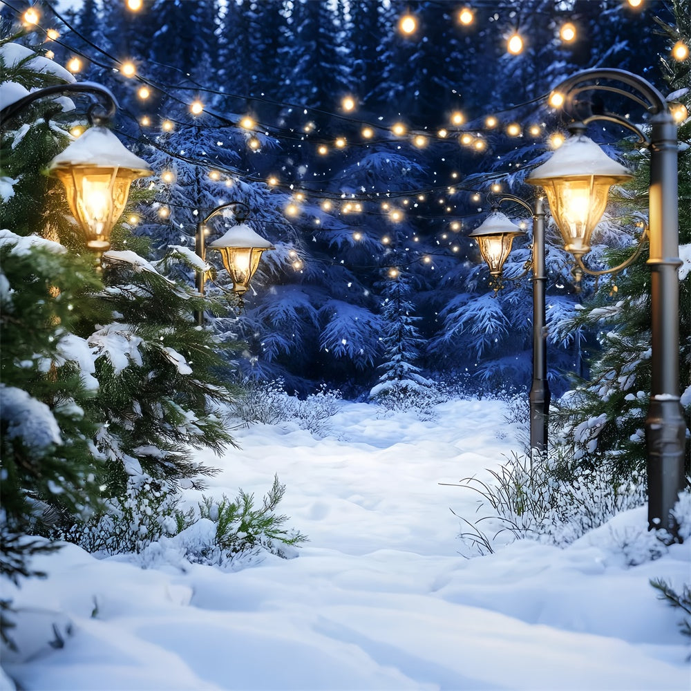 Toile de fond Forêt Neige Pins Illuminés Douillets LXX57-123