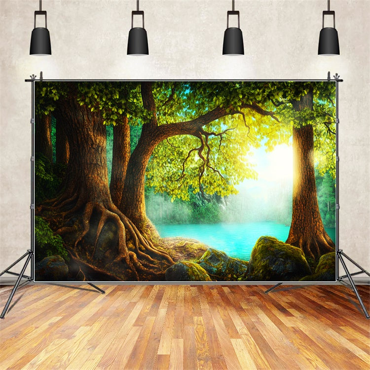 Toile de fond Photo Forêt Arbre Ancien Eaux Calmes LXX57-136