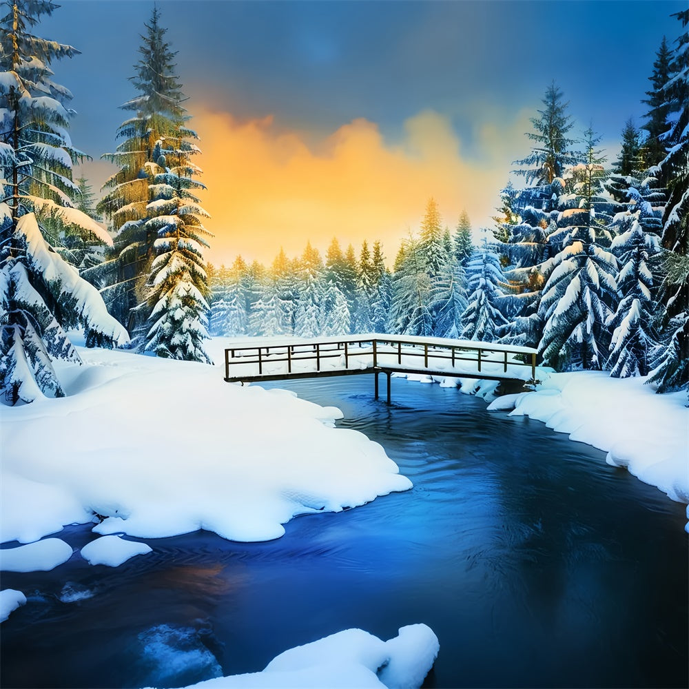 Toile de fond Forêt Neige Pins Givrés Lueur LXX57-137