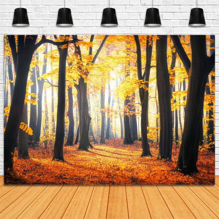 Toile de fond Automne Feuilles Rustiques Forêt LXX57-149