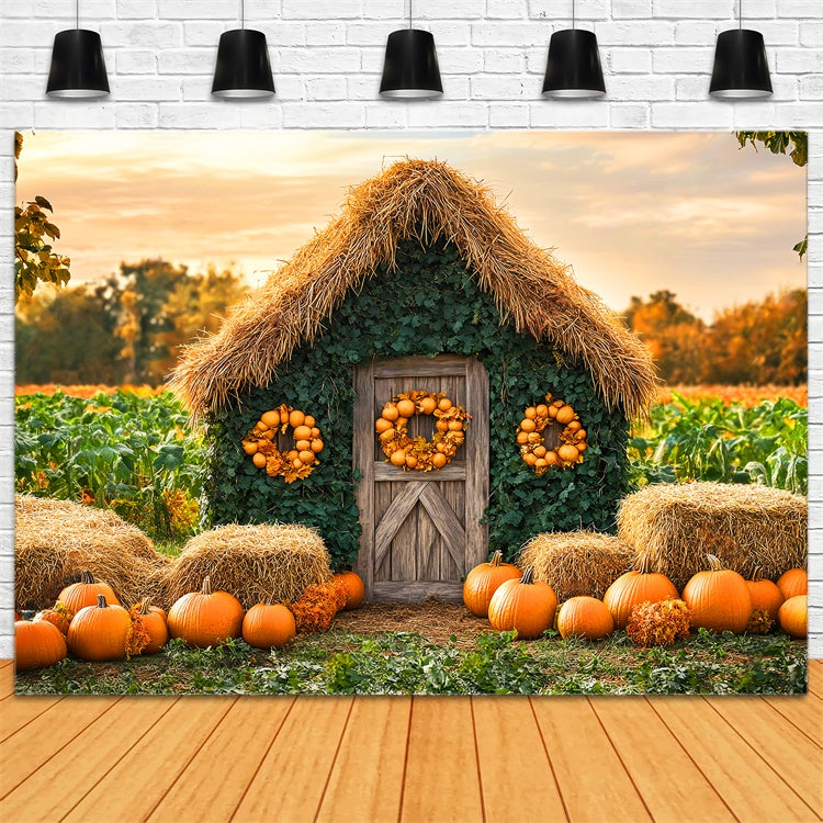 Toile de fond Photo Automne Cottage Champ Citrouilles LXX57-154