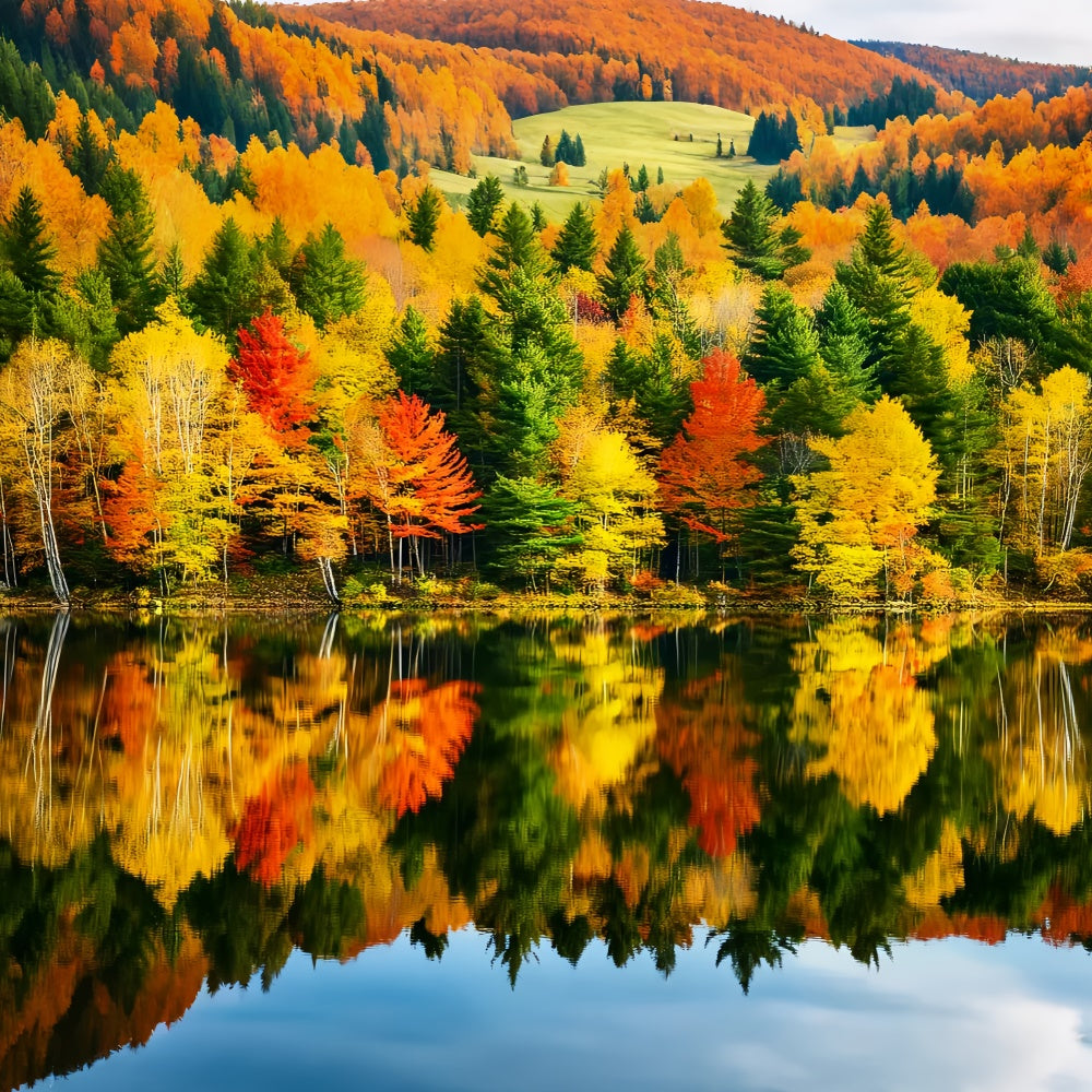 Toile de fond Automne Scène Lac Rayonnante Forêt LXX57-156