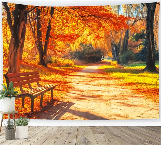 Toile de fond Photo Automne Banc Sentier Forêt LXX57-164