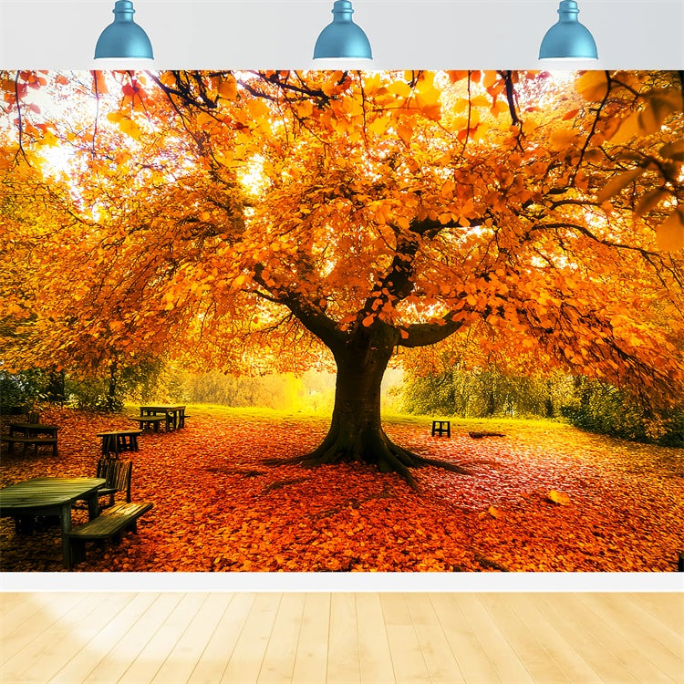 Toile de fond Déco Automne Feuilles Canopée Automne LXX57-177